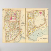 142143ニューロシェル ポスター (正面)