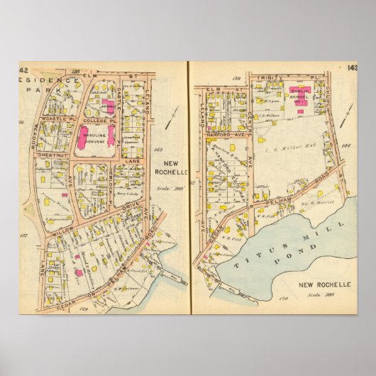 142143ニューロシェル ポスター (正面)