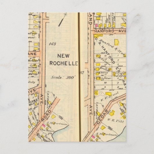 142143ニューロシェル ポストカード (正面)