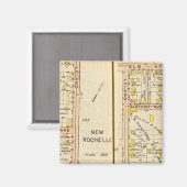 142143ニューロシェル マグネット (正面/裏面)