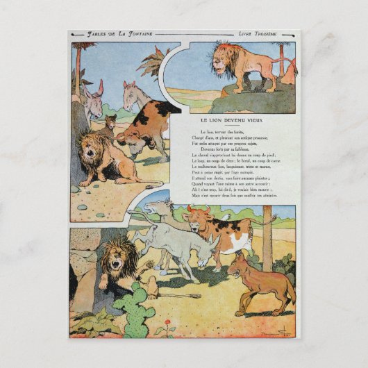 143.寓話から登場する老齢のライオン ポストカード (正面)