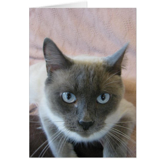 144を採用して下さい (正面)