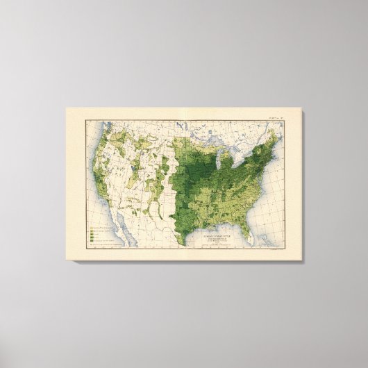 147ニート牛/平方マイル キャンバスプリント (正面)