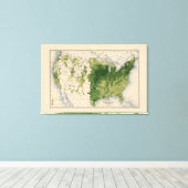 147ニート牛/平方マイル キャンバスプリント (インサイチュ (ウッドフロア))