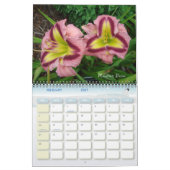 14720033, Lumberton daylilies 048, Lumberton da... カレンダー (2月 2027)