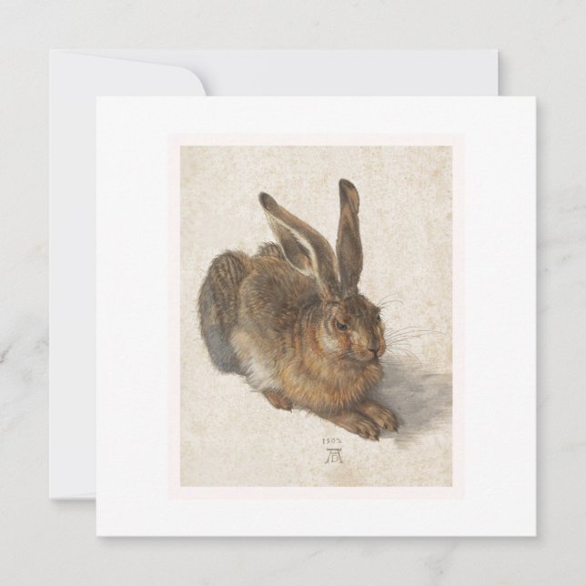 148.若いウサギ (正面)