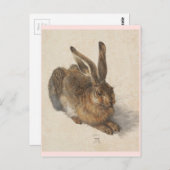 148.若いウサギ ポストカード (正面/裏面)