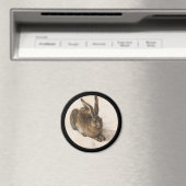 148.若いウサギ マグネット (インサイチュ (食洗機))