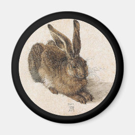 148.若いウサギ マグネット