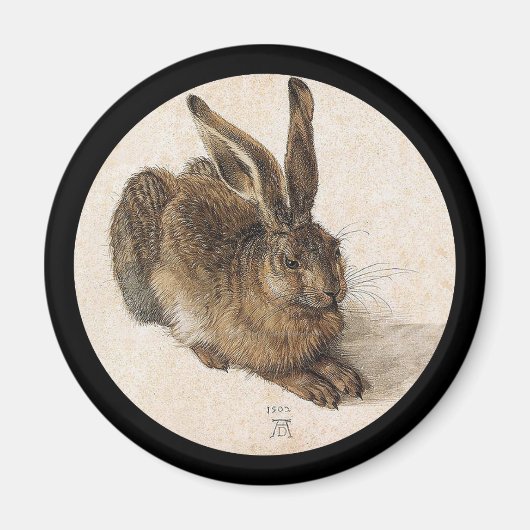 148.若いウサギ マグネット (正面)