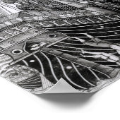 1499年のゾンチオ合戦 ポスター (角)