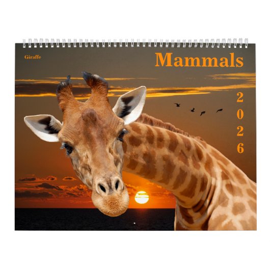 14 photos of mammals カレンダー (カバー)