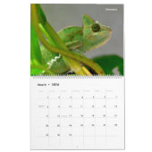 14 Photos of Reptiles Calendar カレンダー (3月 2026)