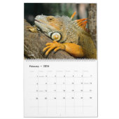 14 Photos of Reptiles Calendar カレンダー (2月 2026)