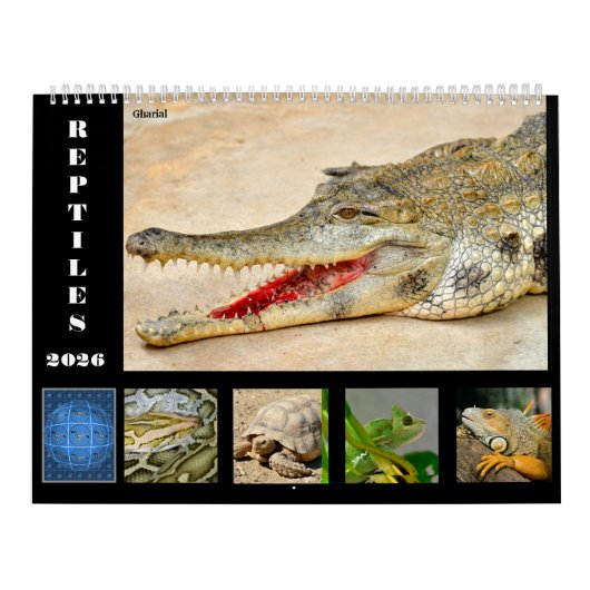 14 Photos of Reptiles Calendar カレンダー (カバー)
