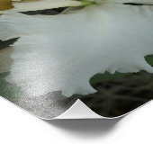 14"x11"蘭 フォトプリント            (角)