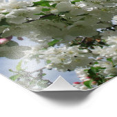 14"x11"開花クラベリン フォトプリント            (角)