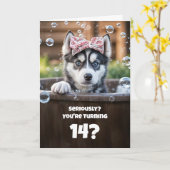 14th Birthday Cute and Funny Husky Tub カード (黄色い花)