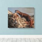 14x11アメリカン・ミンク キャンバスプリント (インサイチュ (ウッドフロア))