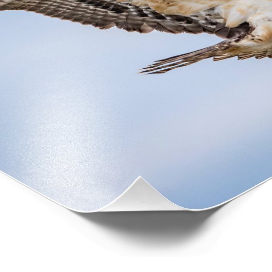 14x11オスプレイの巣への着陸 フォトプリント (角)