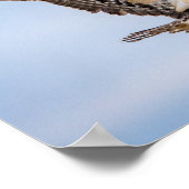 14x11オスプレイ来が上陸を目指して ポスター (角)