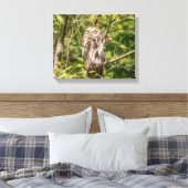 14x11スリーピーバーレッドフクロウ キャンバスプリント (インサイチュ (寝室))