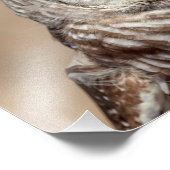 14x11バーレッドフクロウ フォトプリント (角)