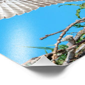 14x11巣の中の少年オスプレイ フォトプリント (角)