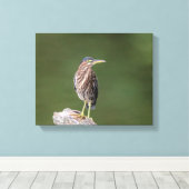 14x11緑のヘロンをログに記録 キャンバスプリント (インサイチュ (ウッドフロア))