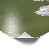 14x11緑のヘロンをログに記録 フォトプリント            (角)