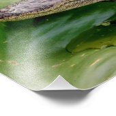 14x11若いワニ フォトプリント (角)