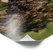 14x11若いワニ フォトプリント (角)