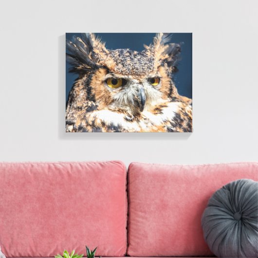 14x11角素晴らしフクロウポートレート キャンバスプリント (インサイチュ (リビング))