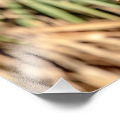 14x11赤い猫背のタカ フォトプリント (角)