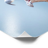 14x11赤い背負ったタカ フォトプリント            (角)