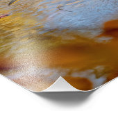 14x11青素晴らしいヘロンの秋の葉で囲まれた フォトプリント            (角)