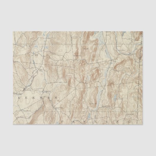 15のクローブシート 薄葉紙 (正面)