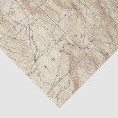 15のクローブシート 薄葉紙 (詳細)