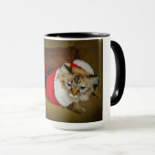 15のoz。 Deziのマグサンタとして服を着るRagdoll マグカップ (正面右)