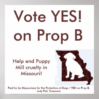 15インチx 15インチ – YES! Prop Bポスター ポスター