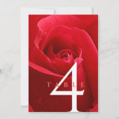 15エレガント日26日36バラ結婚記念日 招待状 (裏面)