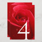 15エレガント日26日36バラ結婚記念日 招待状 (正面/裏面)