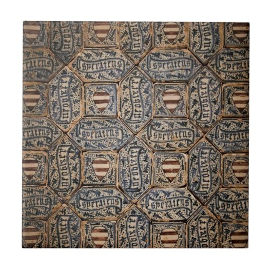 15スペインの世紀の紋章 タイル (正面)