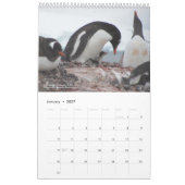 15ヶ月ペンギンのカレンダーと説明2025-26 カレンダー (1月 2027)