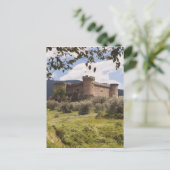 15世紀のアルブルカーキ公の城 ポストカード (スタンド正面)