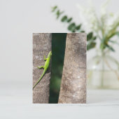 15分.JPG ポストカード (スタンド正面)