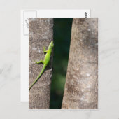 15分.JPG ポストカード (正面/裏面)