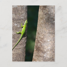 15分.JPG ポストカード