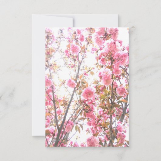 15誕生日ピンクさくらんぼフローラキンセアニェラ 招待状 (裏面)