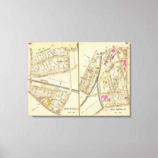 150151ニューロシェル キャンバスプリント (正面)